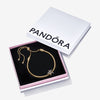 Pandora Infinity Star Gift Set