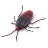 WT Robo Alive Robotic Cockroach Series 2 Cockroach Gitd