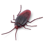 WT Robo Alive Robotic Cockroach Series 2 Cockroach Gitd