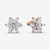 Pandora Sparkling Herbarium Cluster Stud Earrings