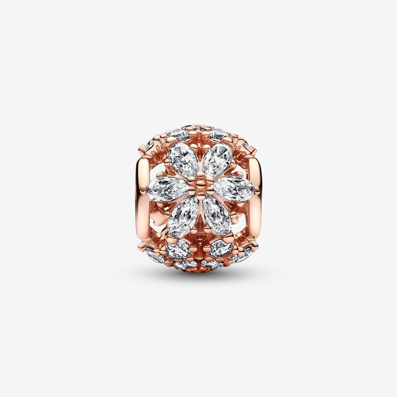 Pandora Sparkling Herbarium Cluster Round Charm