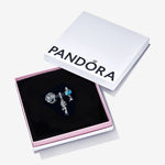 Pandora Disney Aladdin Charm Gift Set