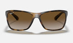 Rayban Light Havana W/ Light Grey Gradient Brown