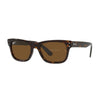 Rayban Mr Burbank Havana W/Polar Brown