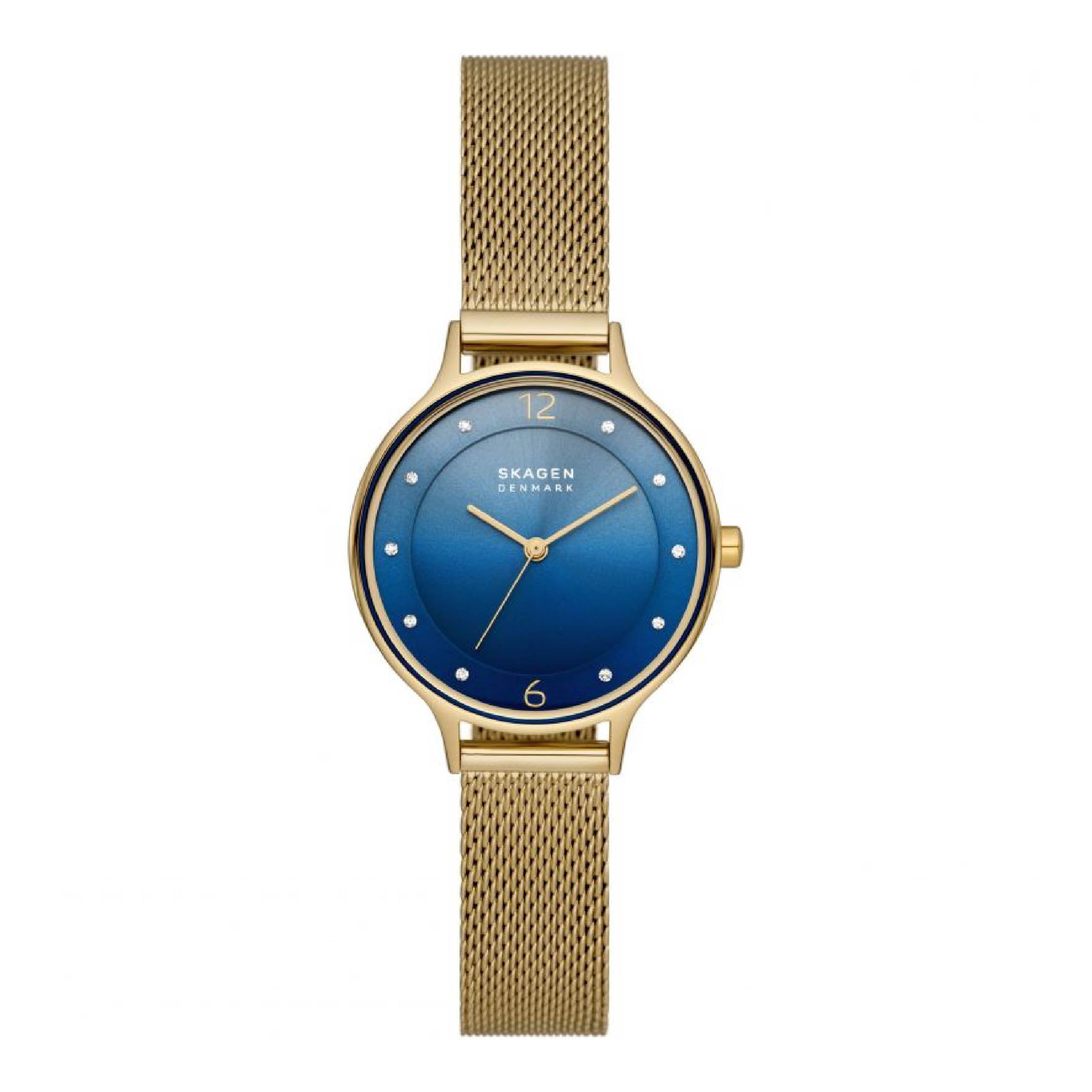 Skagen Watch Prouds Fiji